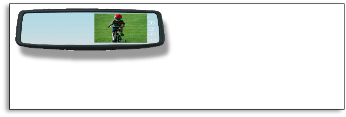 #MirrorMonitor